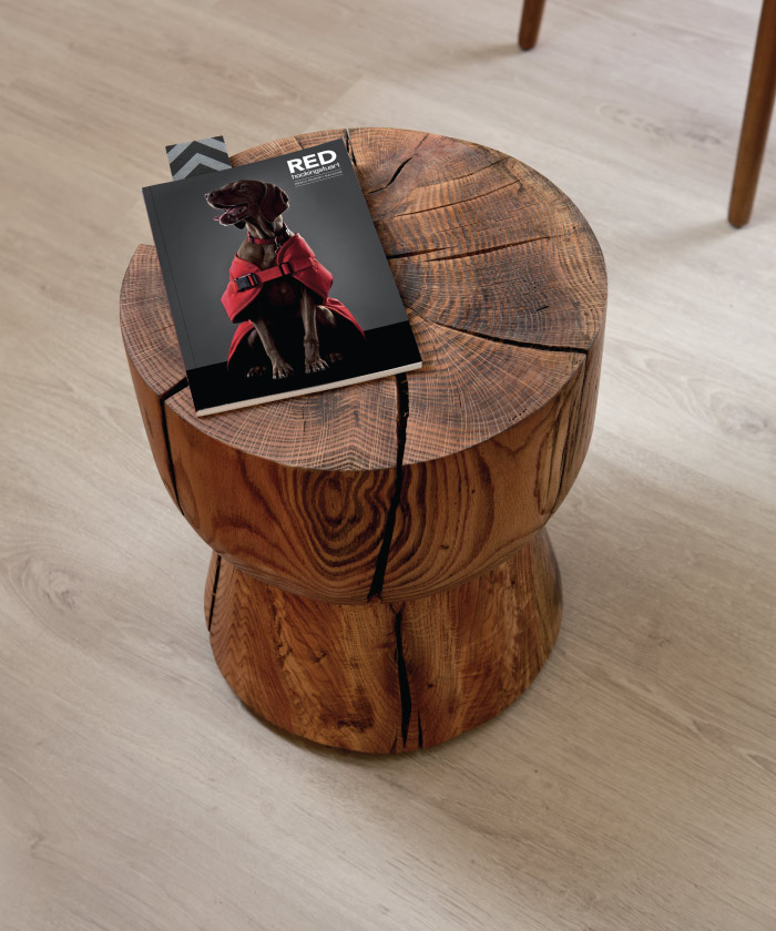 hockingstuart redmag on wood stump