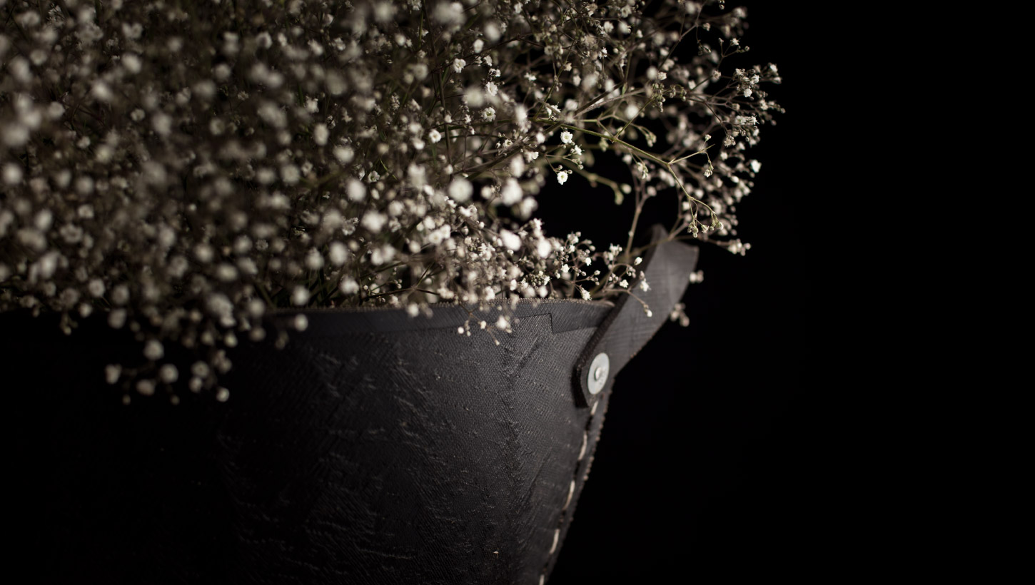 glasshaus photography gyp plant