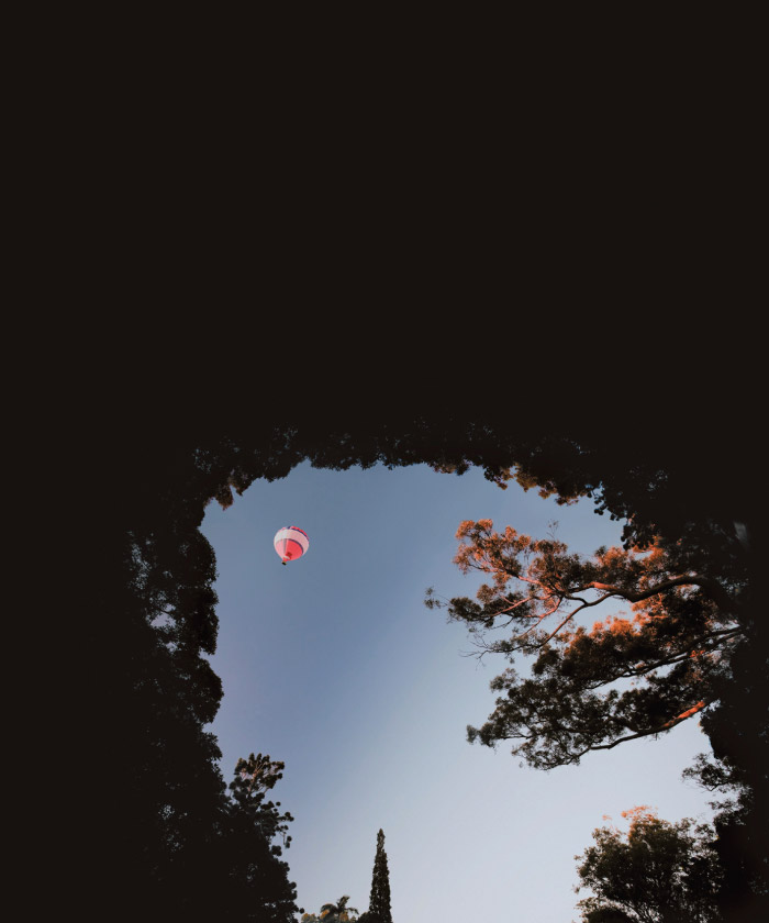 the guilfoyle photography hot air balloon